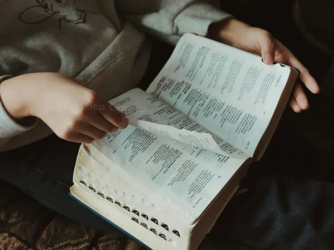 Supporto linguistico per studenti e famiglie bilingui